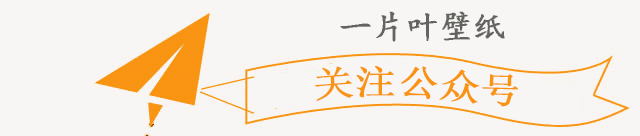 可复制的万能空白昵称
