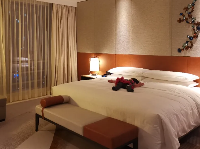 全国酒店宾馆入住记录查询,酒店开的房记录查询app