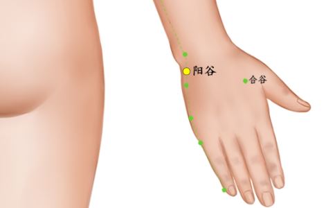 阳谷穴的准确位置图
