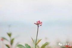 梦见自己杀人了是什么兆头 周公解梦