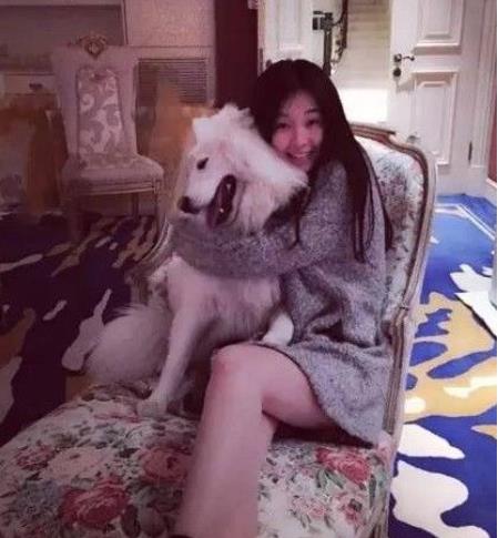 乔欣家里到底干什么的