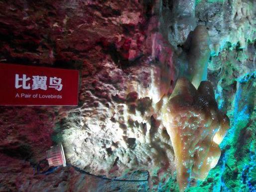 偷景区钟乳石被抓:500万年才形成的景观就这样被毁了二ノ宫优子