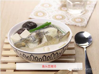 孕妇汤的100种做法大全