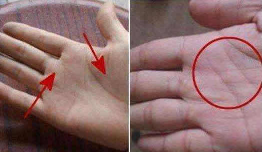 9种手纹的女人命好