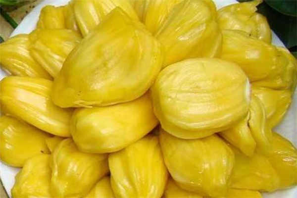 菠萝蜜一次可以吃几颗