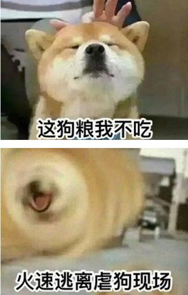 撒狗粮是什么意思