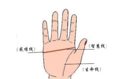 男人左手断掌代表什么