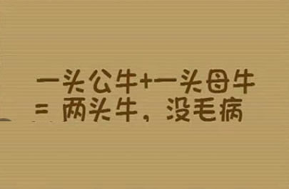 一头公牛加一头母牛猜三个字