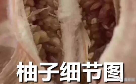 1118是什么意思?1118是什么梗