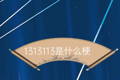 1313113ʲô˼1313113ʲô