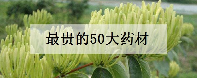 最贵的50大药材(世界五大名贵中草药)