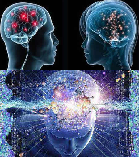 人类的大脑其实很可怕