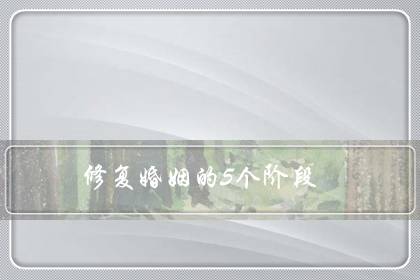 ޸5׶Σ޸޹ϵʮ裩