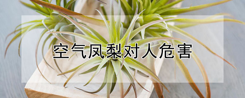 Σ