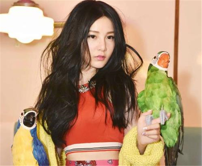 本兮歌里的诡异 本兮26号诡异微博是怎么回事