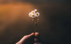 分手后男人越绝情越好挽回