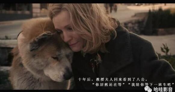 十大最感动的催泪电影 感人电影催泪的电影