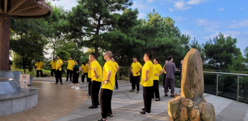 洗髓功甩阳鞭修炼方法(每天练习甩阳鞭的好处)