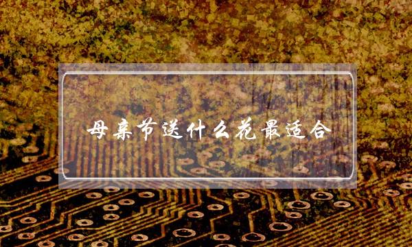 ĸ׽ʲôʺϣ3ֻʺĸ׽͸裩