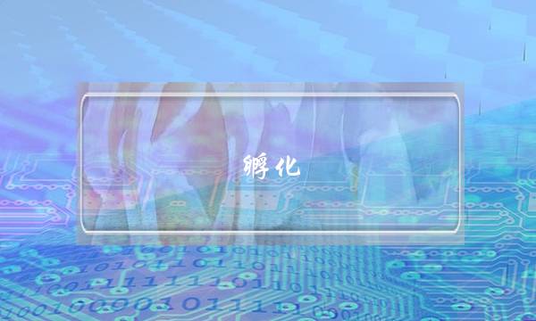 壩