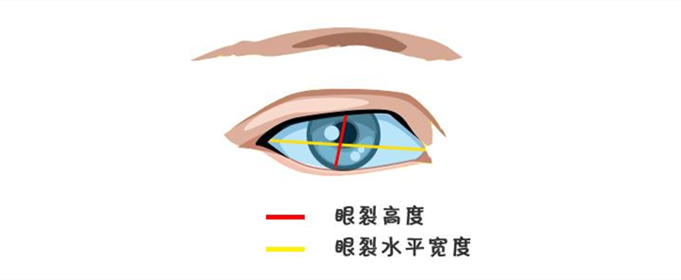 Ϊʲô˳о۾С(۾С)