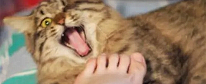 èŵųΪʲôſ(ϲèĽų)
