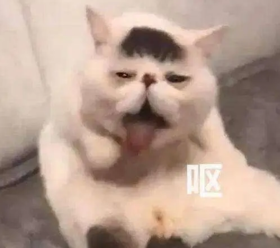 èŵųΪʲôſ(ϲèĽų)