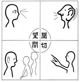 ҽָʲô