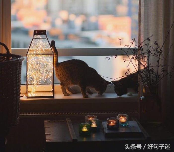 ˸еǩ飨κʧĸǩ