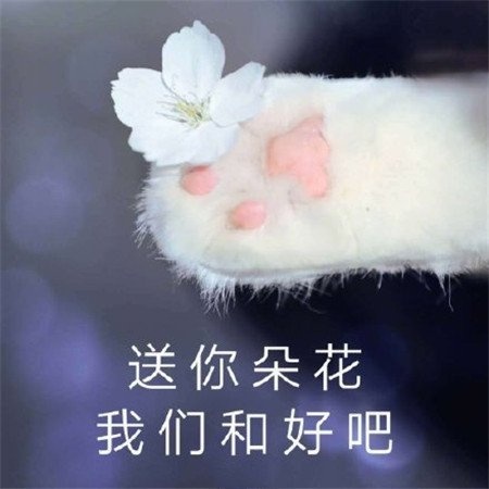 ôǸôɰظѵǸ