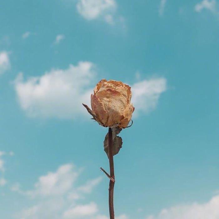 簲˵˵簲¼ӣ
