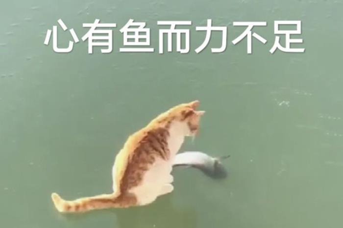 ôأҪ裩