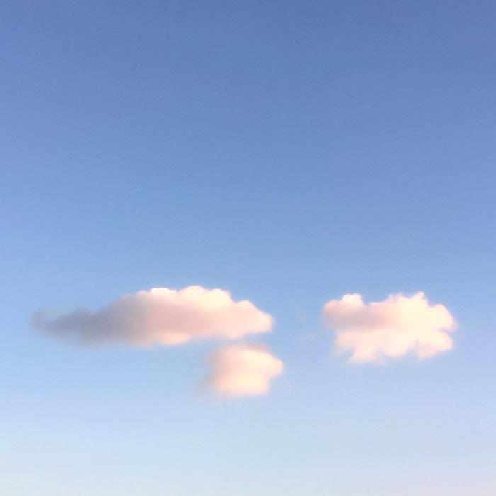 ˵簲ʽһʺ