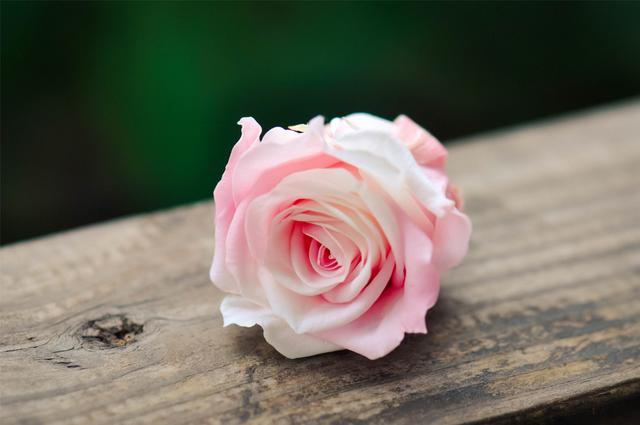 Ů˳˼ĺ ˳˼ĺŮ