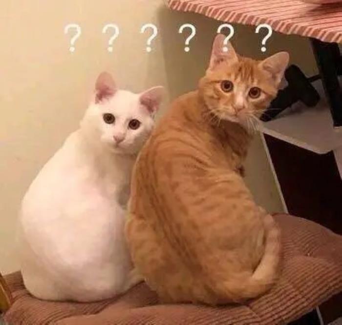 ʲôɫ۾ãʲô۾õģ
