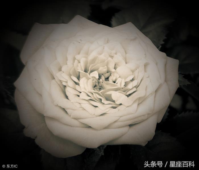 ЫԽԽ嶯ʮԳ嶯ô죩