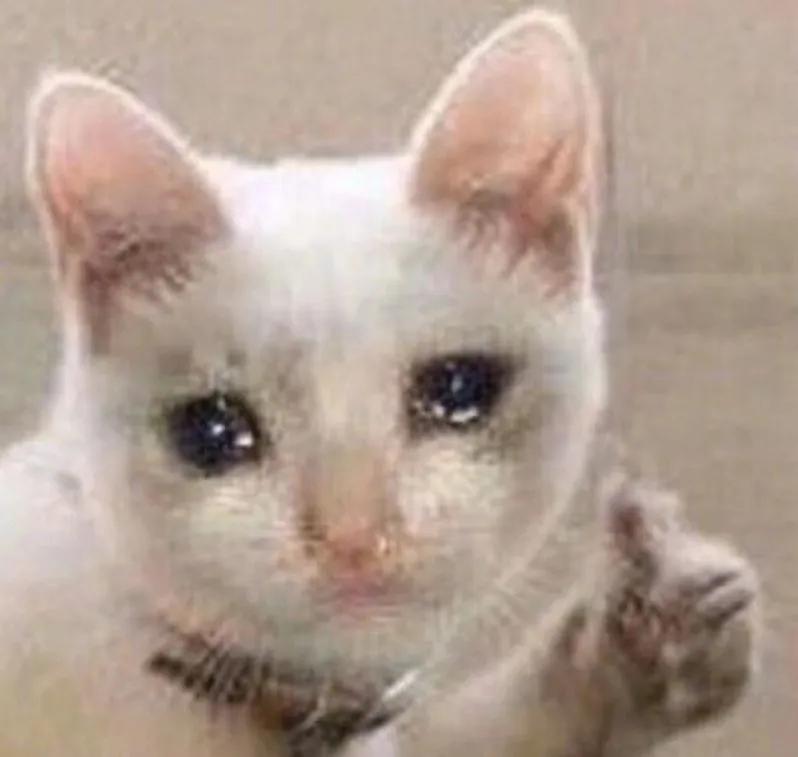 ʲô ˲ж޵5