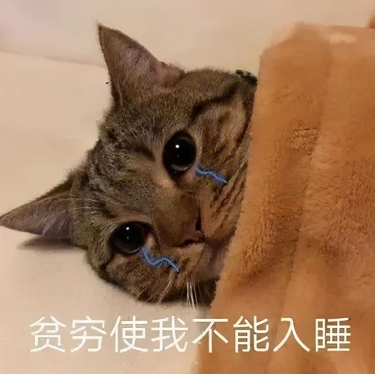 ʲô ˲ж޵5