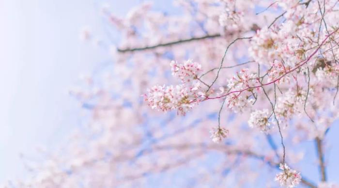 ӣ̾䣨10ȻĶӣʫ