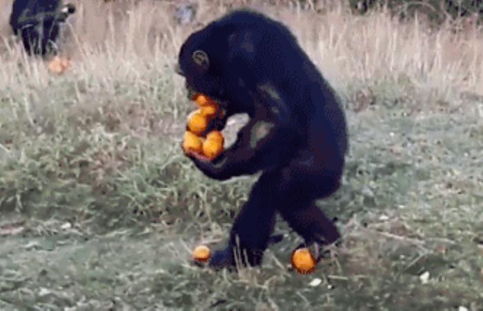 ֱŮ췽ʽֱŮôϲкģ