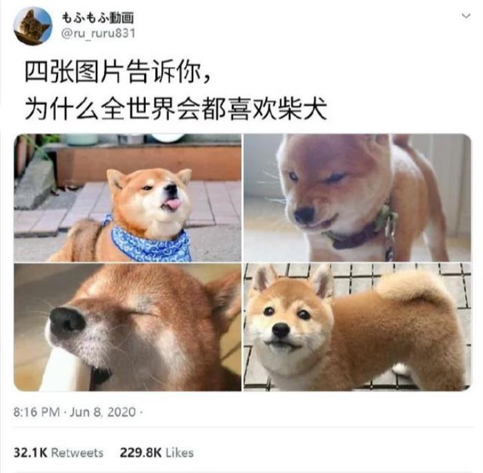 ֱŮ췽ʽֱŮôϲкģ
