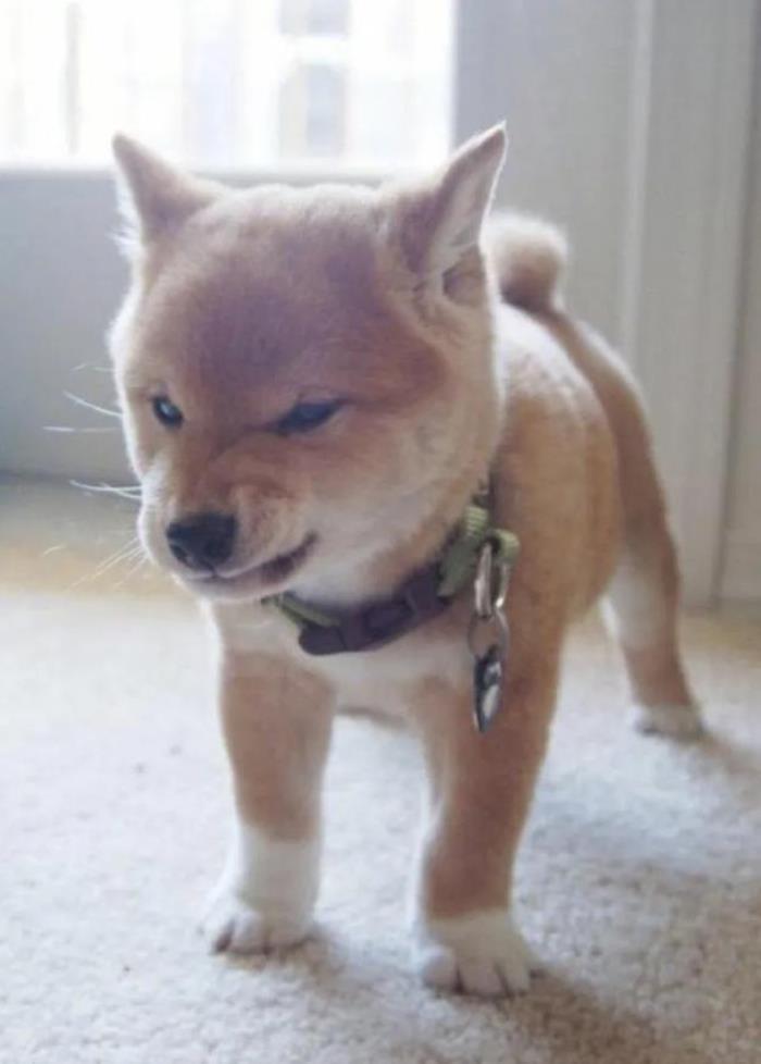ֱŮ췽ʽֱŮôϲкģ