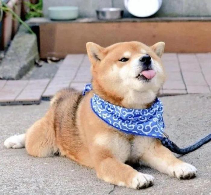 ֱŮ췽ʽֱŮôϲкģ