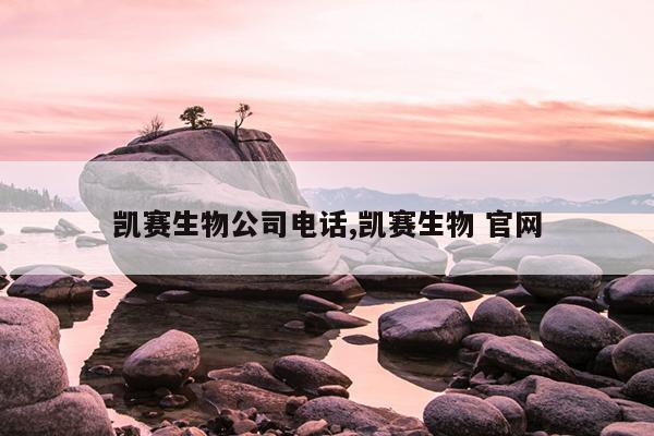 ﹫˾绰, 