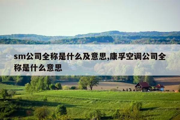 sm˾ȫʲô˼,ڿյ˾ȫʲô˼